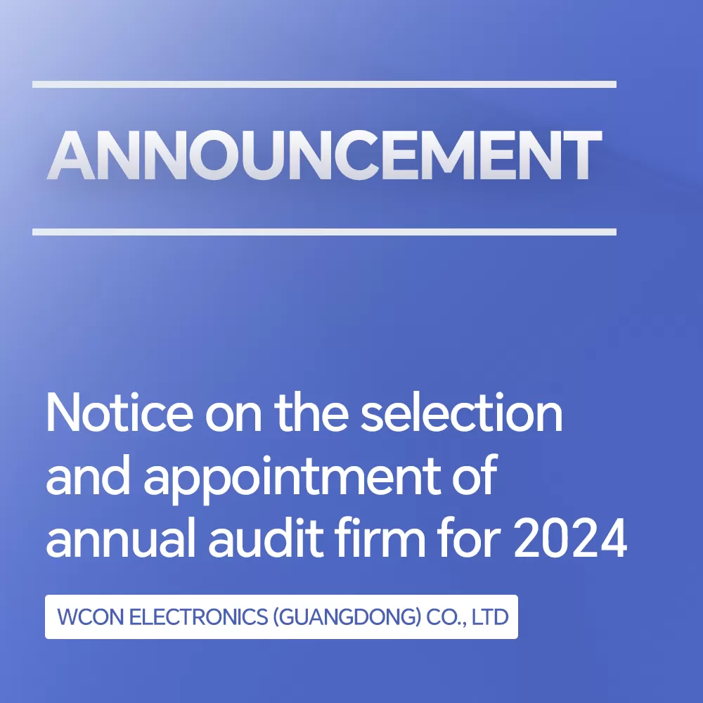 Notice on the Selection and Appointment of Annual Audit Firm for 2024